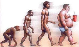 la evolucion