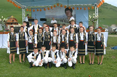 "Festivalul National Ioan Sotelecan 2008"