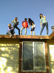 Roof Picture :)