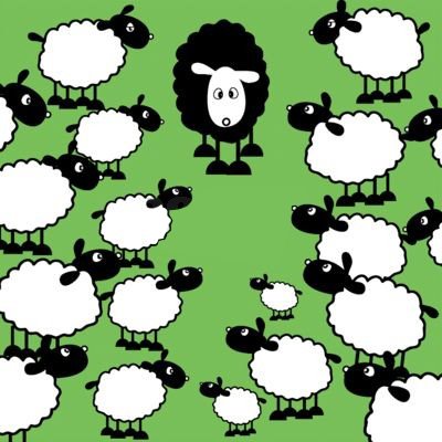 [sheep+oaie+07.jpg]