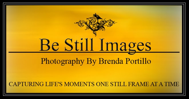 Be Still Images