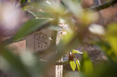 Australian Cemetery Japanese Ceremony