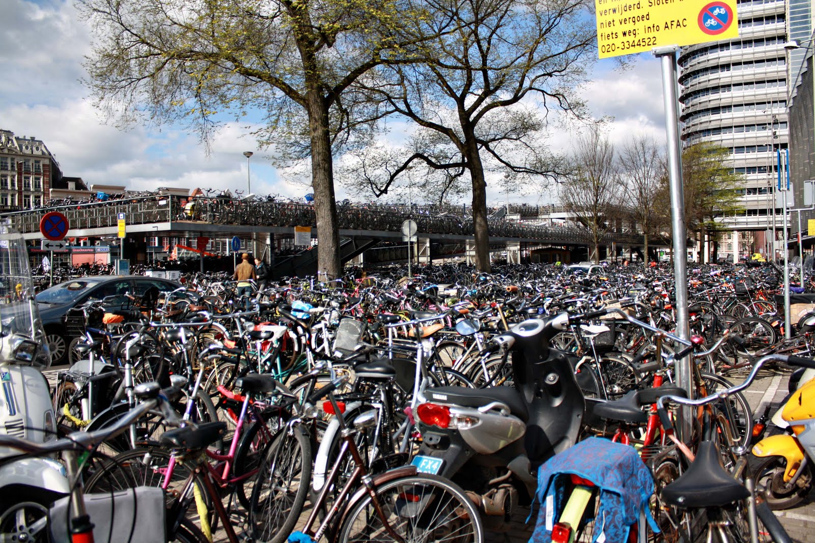 Bikes Amsterdam