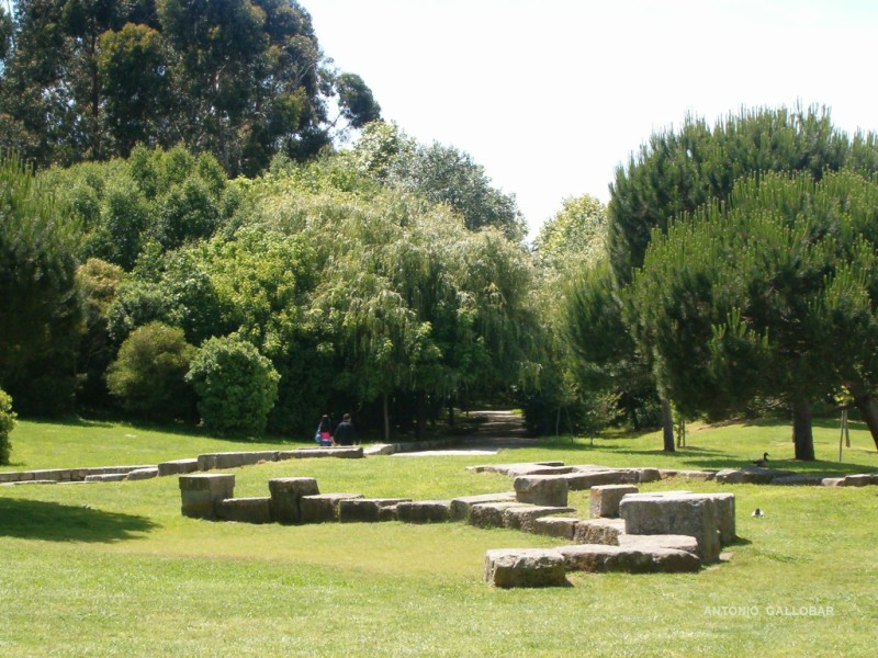 Parque da cidade do Porto