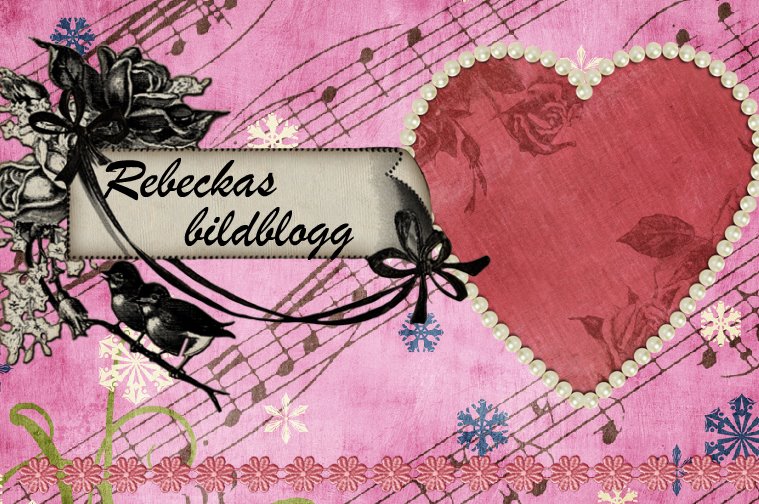 Rebeckas bildblogg