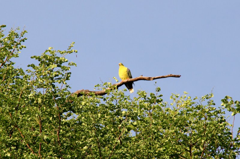 [IMG_0830.jpg]