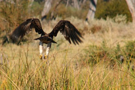 [IMG_2838_KhwaiFlugadler.jpg]