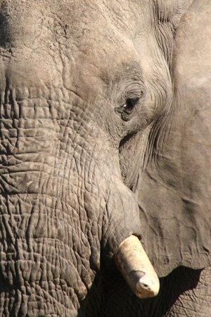 [IMG_2882_SavutiNahele.jpg]