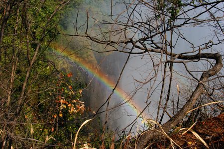 [IMG_3167_VicFallsRegenbogen.jpg]