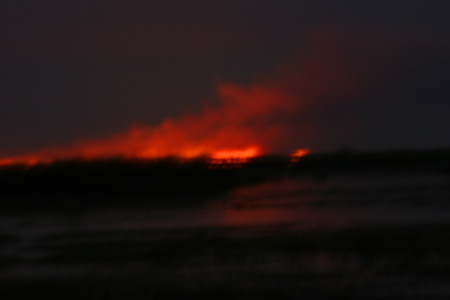 [IMG_3325_LochinvarBrand.jpg]