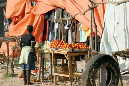 [IMG_3858_ToMkushiTomatoes.jpg]