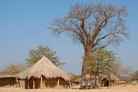 [IMG_3724_ToLusakaCeltel.jpg]