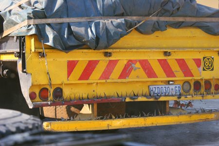 [IMG_3123_ToZambiaStacheln.jpg]