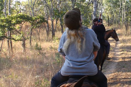 [ZamA2_Mutinondo_2008#14D9A1.jpg]