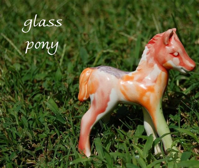 Glass Pony