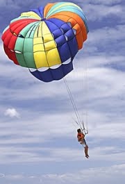 [fedeleochimaera.jpg]