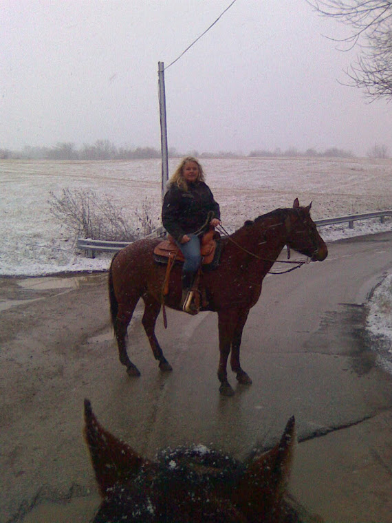 Snow Ride