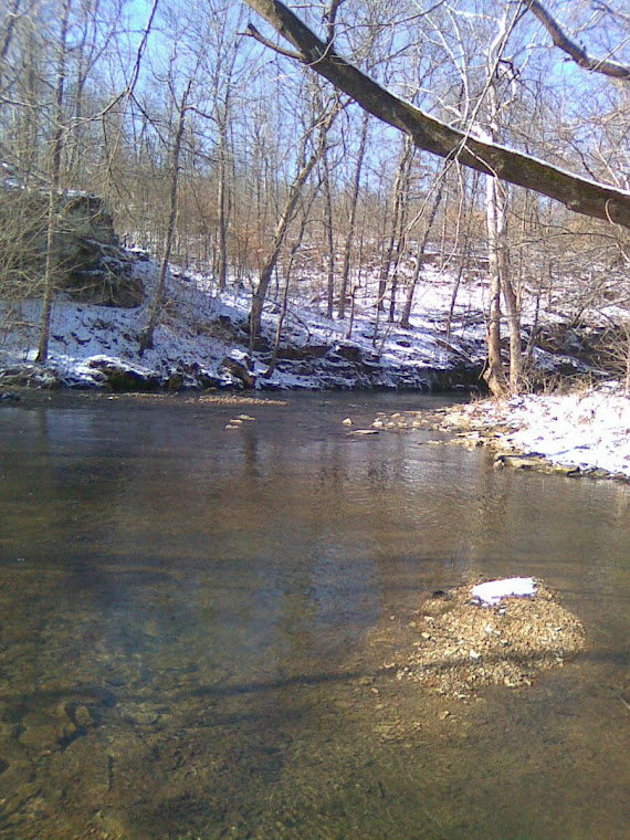 Trail Scenery