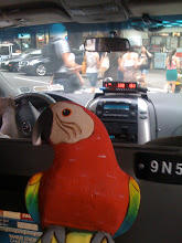 Pedro rides in a New York City cab