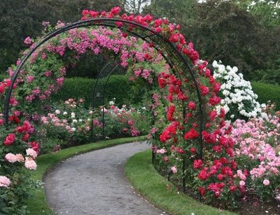 Site Blogspot  Flower Garden Design Pictures on He Also Bought Me Pink Climbing Roses And Planted Them On Either Side