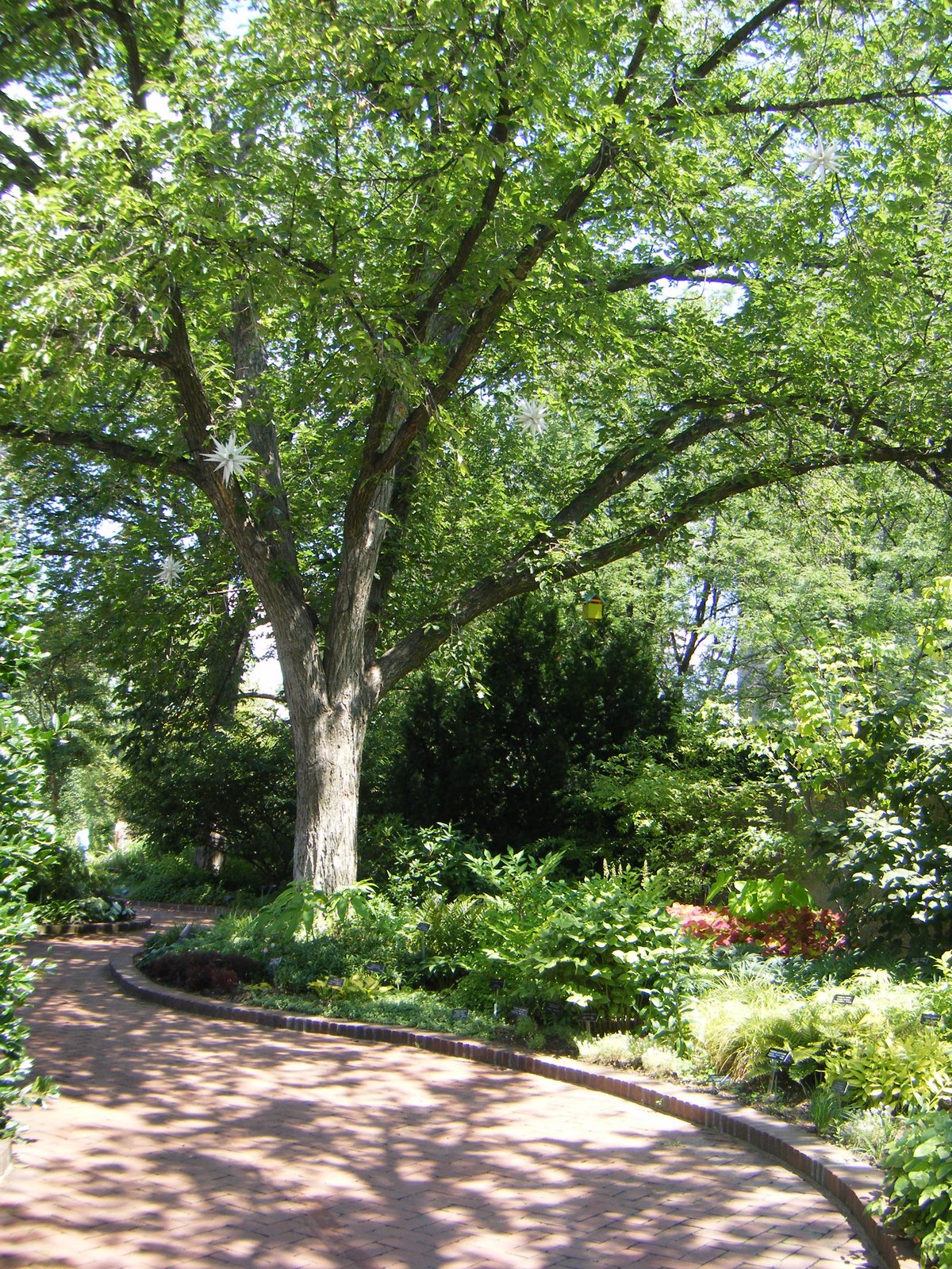 [DSCF1260.JPG]