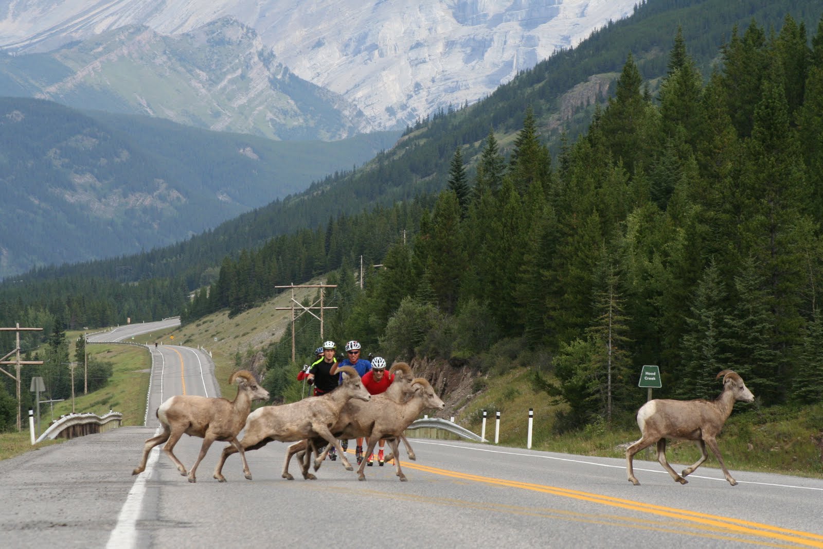 [CVTC+AUGUST09+047.JPG]