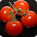 Tomates concassées (Crushed tomatoes)