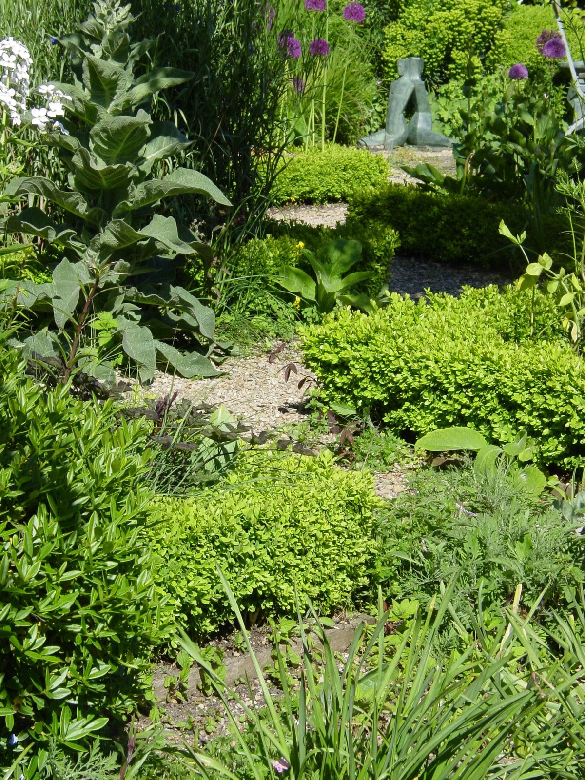 [DSC05540.JPG]