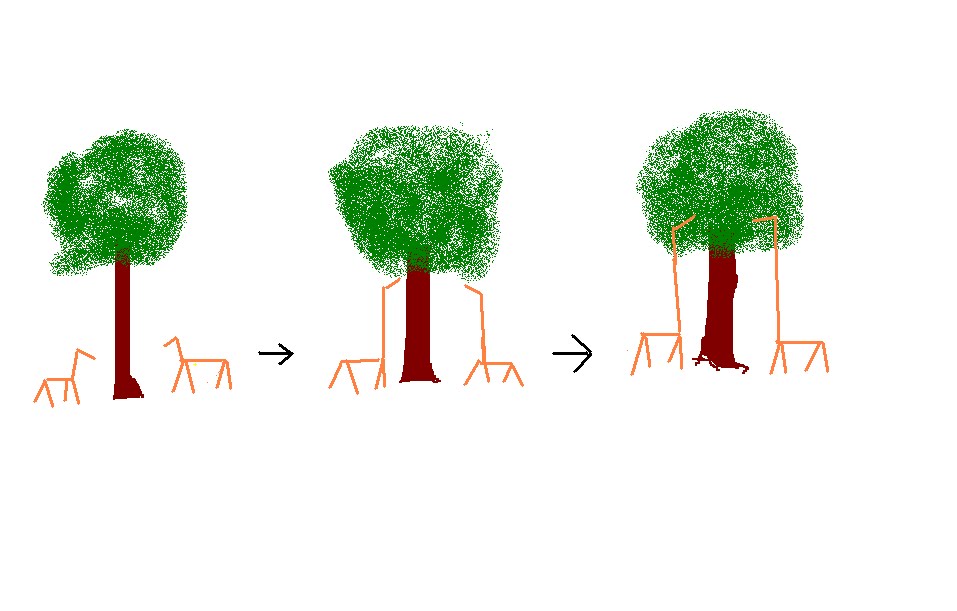 LAMARCK Y SU TEORIA lamarck y su teoria: