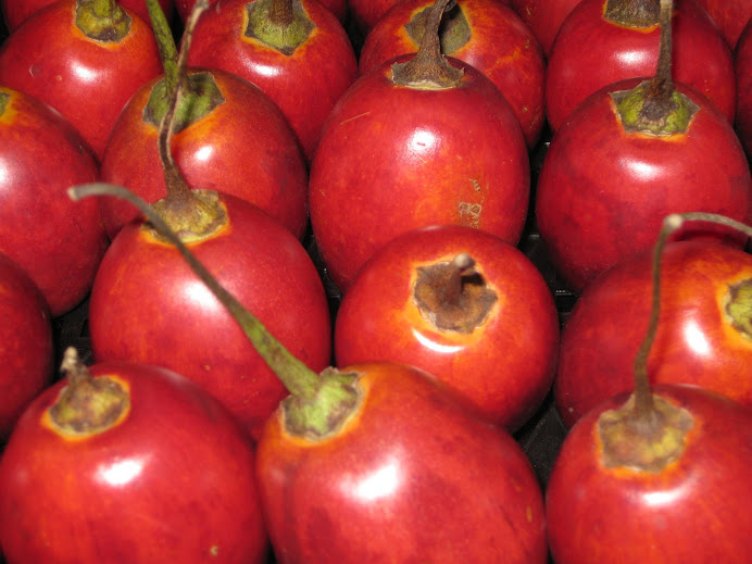 Les tamarillos (fruit bizarre, acide avec un goût de mangue)