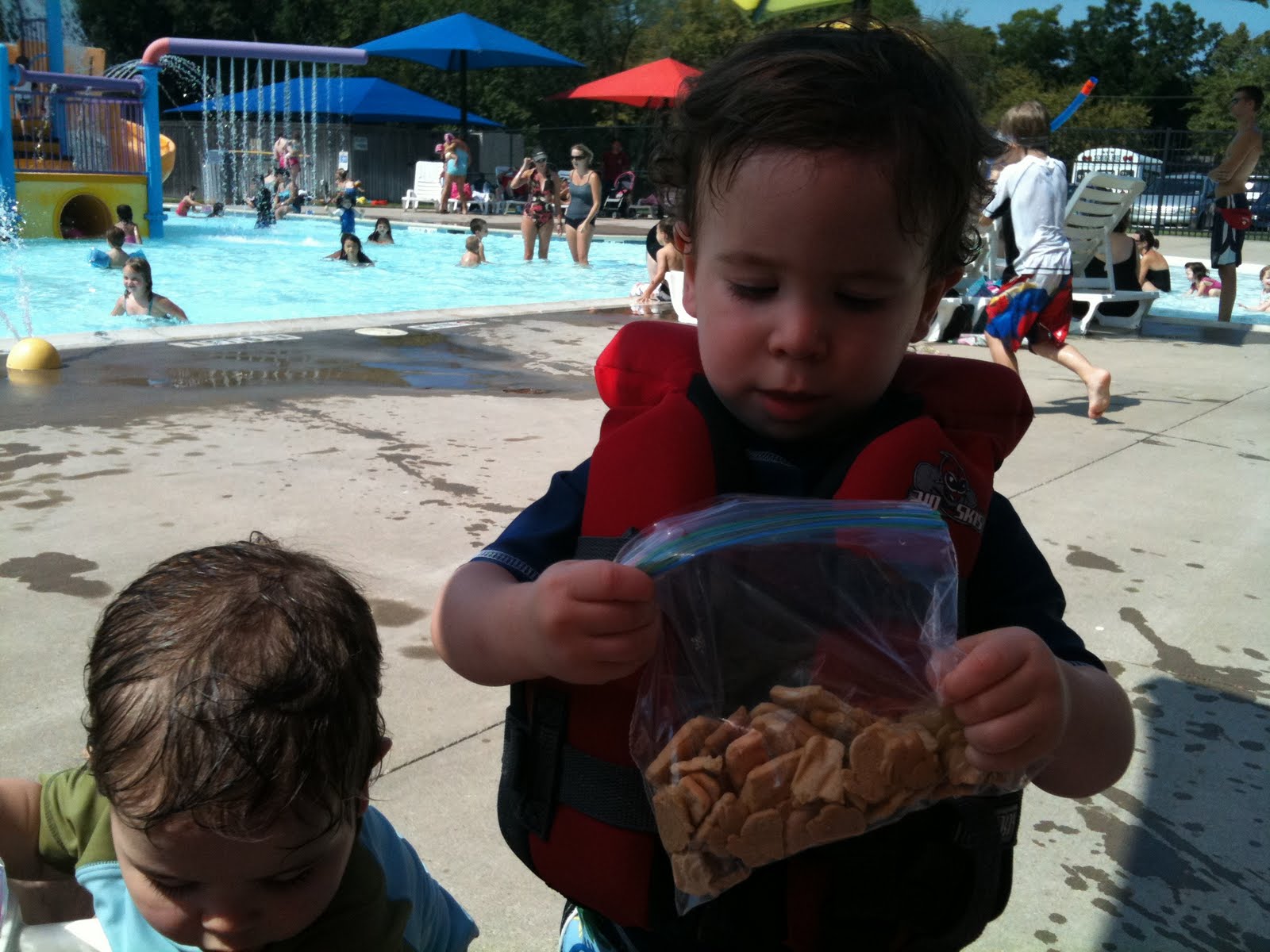 The Edens' Family Howard Moore Play Pool