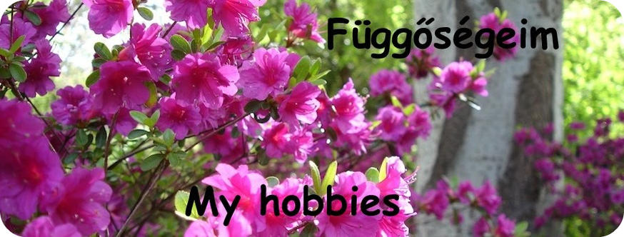 Függőségeim