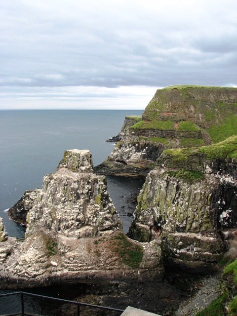 [P-RathlinCliffs-IMG_7056.JPG]