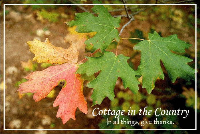 Cottage in the Country
