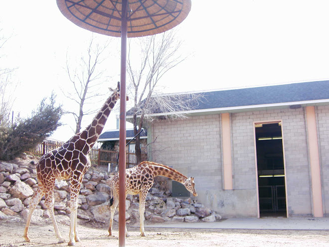 Hoogle Utah zoo