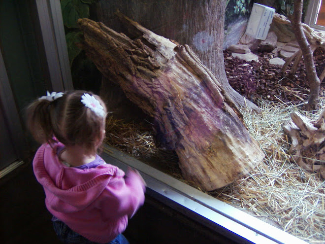 Anna at the hoogle Utah zoo