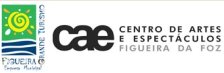 [Logo+CAE+3.bmp]