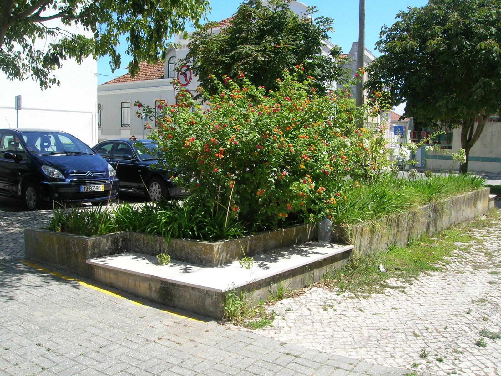 [DSCN1018.JPG]