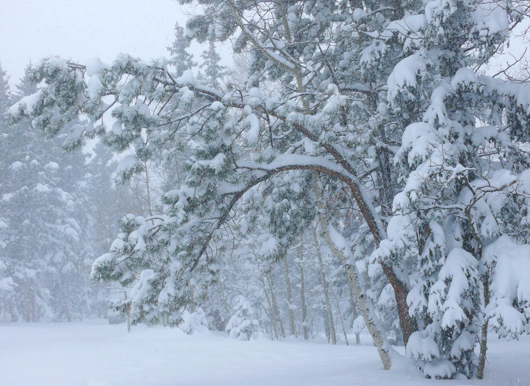 Cold Area