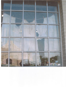 Side display window