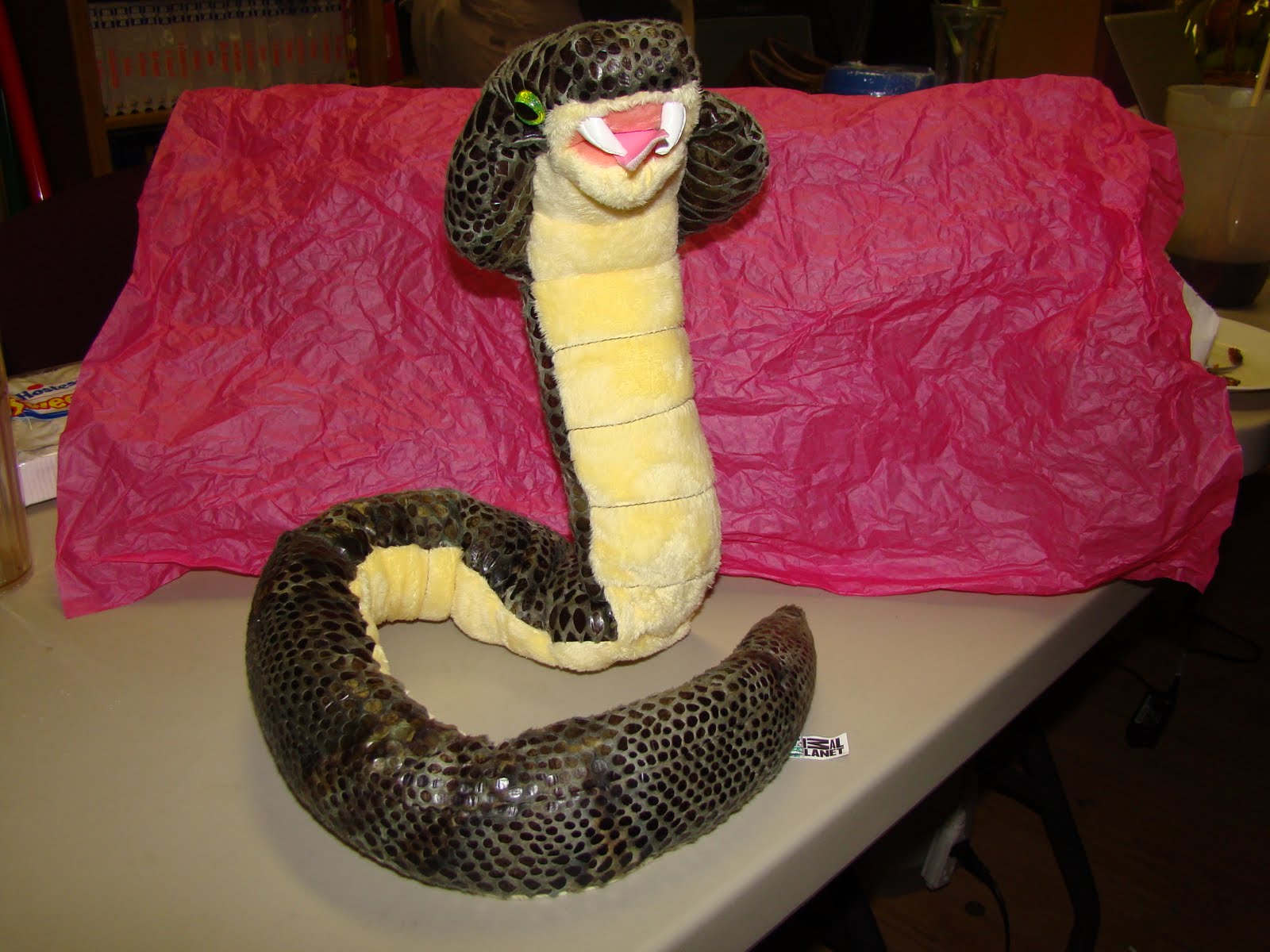 King Cobra Eyes