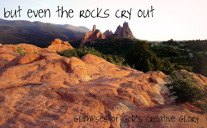 but even the rocks cry out