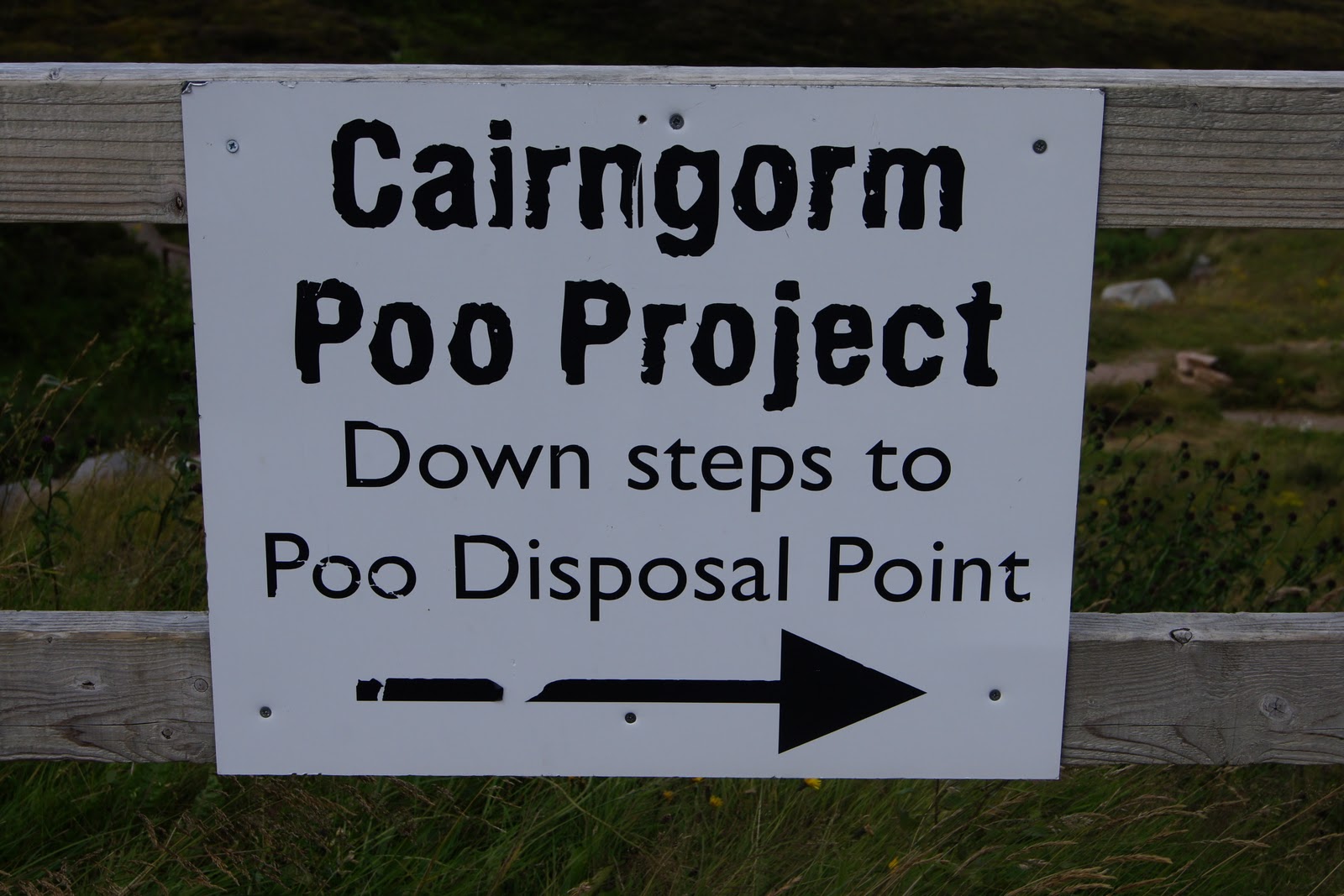 Guess Poo