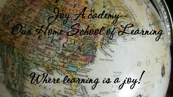 Joy Academy- Our home school of learning
