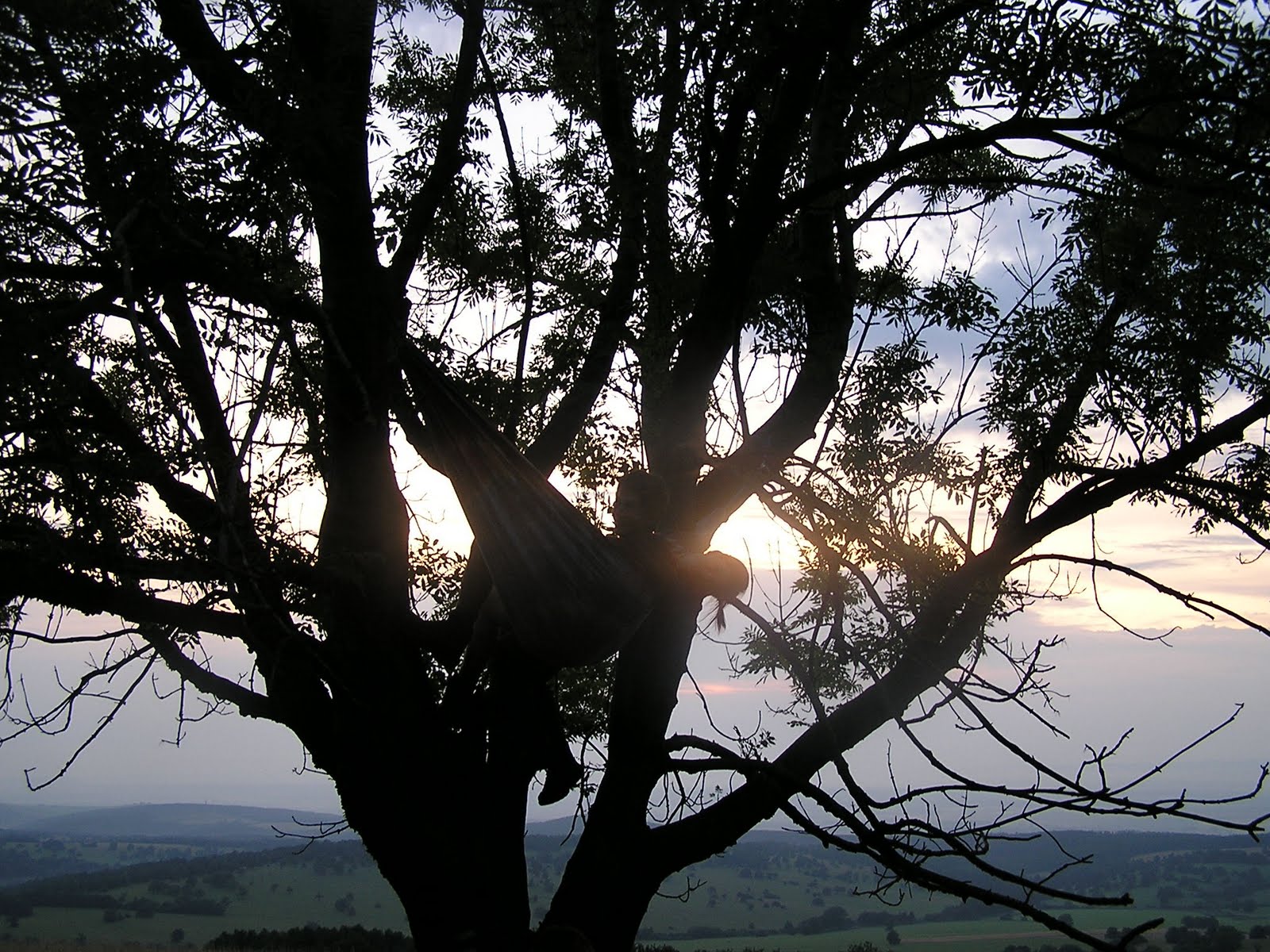 [062+Bile_Karpaty.JPG]