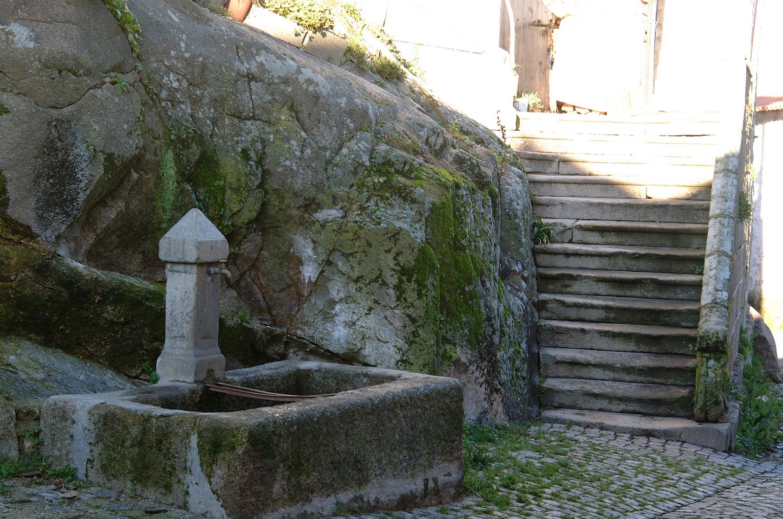 [DSCF0138.JPG]