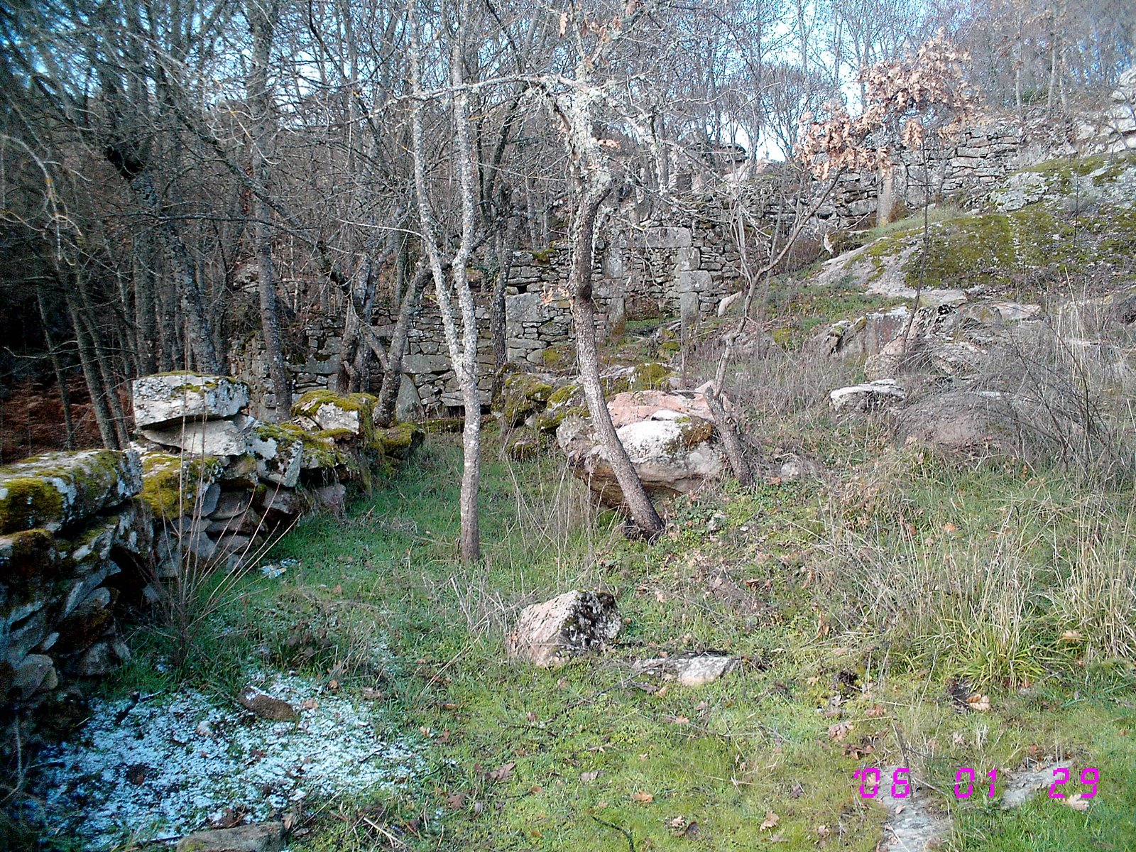[IMG_0406.JPG]