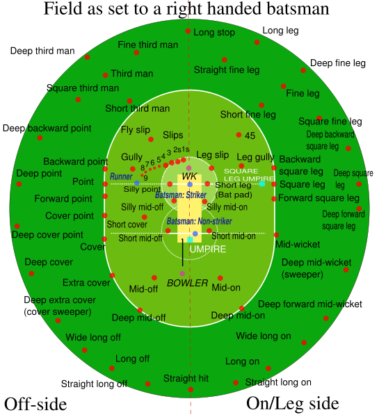 Field Positions Cricket and Cricketers