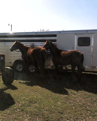 Ranger & Lucky