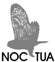 NOCTUA